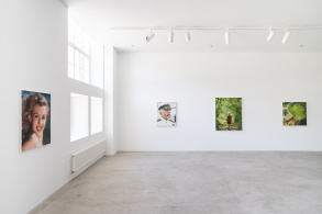 A Million Pixel Trip - 25 Years as a Visual Artist