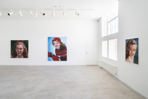 A Million Pixel Trip - 25 Years as a Visual Artist